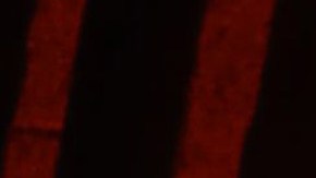 Shakira y Maluma presentaron su dúo "Chantaje" en su concierto en Medellín.