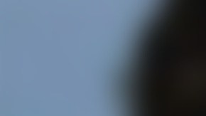 Dylan Lamb fue arrestado por las autoridades y acusado de asesinato en segundo grado.