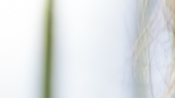 La simplificación de la paleta de colores, resalta el icónico delantal verde de la marca.