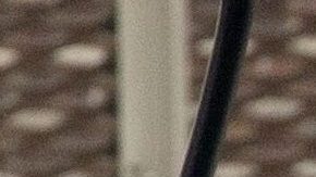 Tom Cruise y Ana de Armas han sido fotografiados juntos en varias ocasiones.