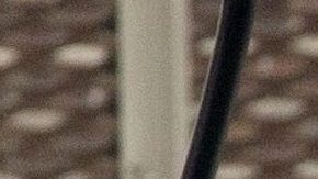 Tom Cruise y Ana de Armas han sido fotografiados juntos en varias ocasiones.