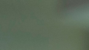 Zar de la frontera defendió la deportación de niños estadounidenses junto a madres indocumentadas