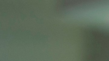 Zar de la frontera defendió la deportación de niños estadounidenses junto a madres indocumentadas