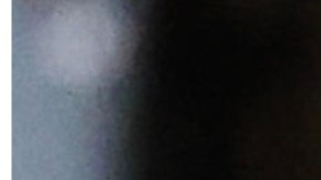 "Esta gente está loca", señaló el mandatario cuando fue cuestionado sobre la iniciativa de Shri Thanedar.