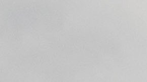 NYPD en Hudson River/Archivo.