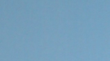 William Levy, actor cubano.