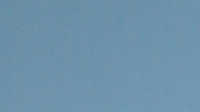 William Levy fue arrestado y liberado bajo fianza en Florida.