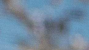 Aaron Rodgers durante su tiempo como quarterback de los New York Jets.