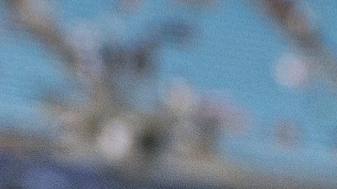 Aaron Rodgers durante su tiempo como quarterback de los New York Jets.