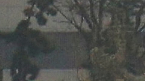El Departamento de Bomberos indicó que recibió un reporte de un helicóptero en el agua a las 3:17 de la tarde.