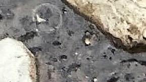 Las piezas de la aeronave quedaron flotando en el agua del río Hudson tras el desplome, además de restos de las víctimas.