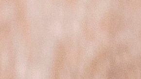 El agua de avena con canela en ayunas ayuda a mejorar los niveles de azúcar en sangre.