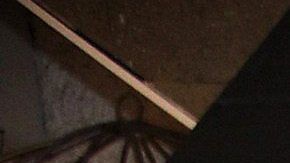 Alejandra Capetillo Gaytán contrajo matrimonio por lo civil con el empresario libanés Nader Shoueiry.