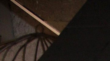 Alejandra Capetillo Gaytán contrajo matrimonio por lo civil con el empresario libanés Nader Shoueiry.