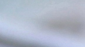 amazon-tiktok-compra-venta-estados-unidos