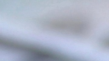 amazon-tiktok-compra-venta-estados-unidos