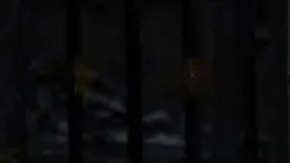 El papa Francisco tenía un vínculo especial con la Basílica de Santa María la Mayor, en Roma.