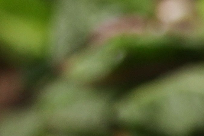 Una forma de incluir el kéfir en la alimentación mezclándolo con frutas.