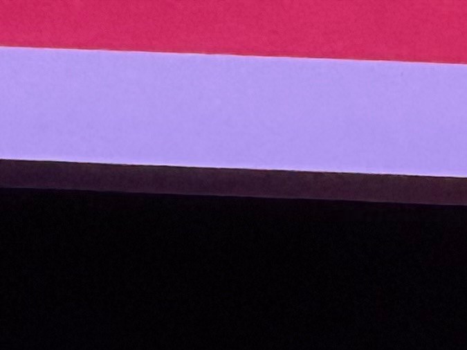 Pedro Almodóvar recibió una estatuilla y un ramo de flores antes de su discurso.