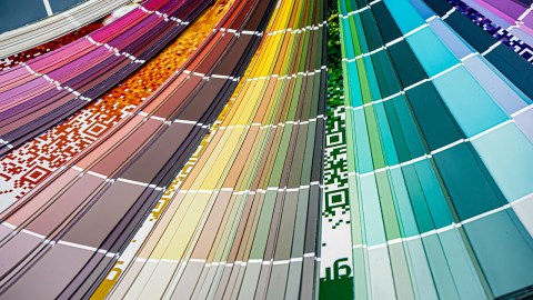 Descubren el color olo