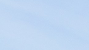 costco-remata-hortencias-60-dolares-abril-2025