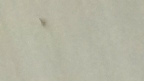 costco-tarjeta-olvidar