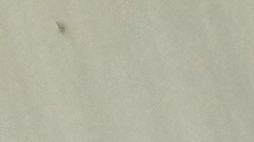 costco-tarjeta-olvidar