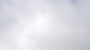 Casi la mitad de los estadounidenses cree que Trump ha sido "pésimo" en su segundo mandato