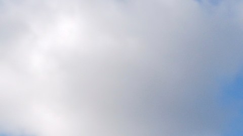 Casi la mitad de los estadounidenses cree que Trump ha sido "pésimo" en su segundo mandato