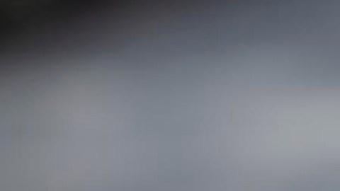 Trump: Joe Biden permitió la entrada de millones de criminales y debemos sacarlos de EE.UU.