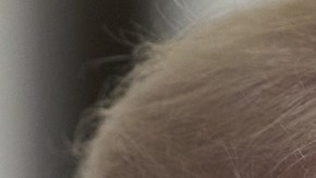 Donald Trump aseguró que ha hablado muchas veces con el presidente de China