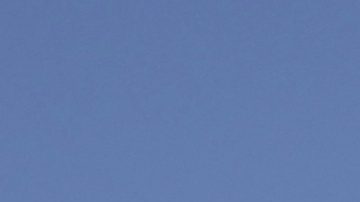 Estatua de queso en honor al NFL Draft 2025.