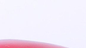 La manzana, el kiwi y las cerezas tiene un bajo indice glucémico.