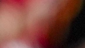 Cody Gakpo celebra tras anotarle al Tottenham.