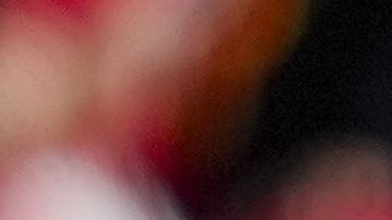 Cody Gakpo celebra tras anotarle al Tottenham.