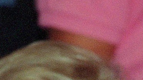 La causa de la muerte de Betsy Arakawa fue confirmada como síndrome pulmonar por hantavirus.