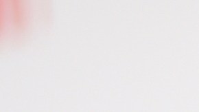 Osment fue fichado y puesto en libertad poco después del arresto