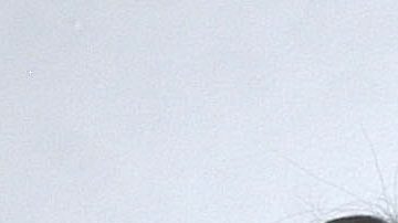 Romina Mircoli junto a su mamá Dulce.