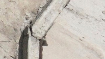 Israel afirmó que había terroristas entre los paramédicos que mató en Gaza