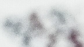 Justin Fields, quarterback de los New York Jets.