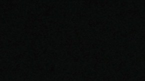 Kate y William se casaron en la Abadía de Westminster el 29 de abril de 2011.