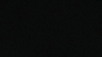 Kate y William se casaron en la Abadía de Westminster el 29 de abril de 2011.