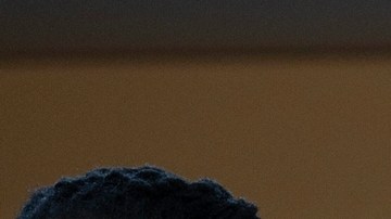 Gobierno de Trump sobre migrante salvadoreño deportado por error: "Debe enfrentar la justicia de su país"