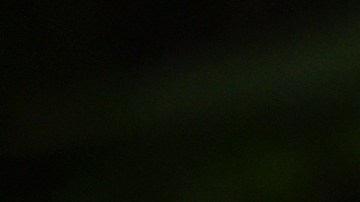 Kristen y Dylan se comprometieron en 2021.