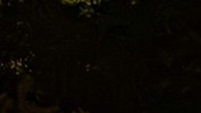 Administración Trump ha detenido a más 150,000 migrantes; 600 serían del Tren de Aragua