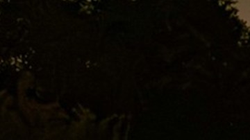 Administración Trump ha detenido a más 150,000 migrantes; 600 serían del Tren de Aragua