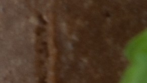 Derretir el chocolate y luego batir en baño de María invertido hace que adquiera una consistencia cremosa.