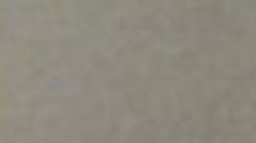 Foto policial de Celie Placius, la mujer de Florida acusada de quemar a una niña.