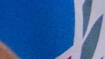 El papa Francisco siempre demostró ser un fanático del fútbol, siendo fiel hincha del club San Lorenzo de Almagro.