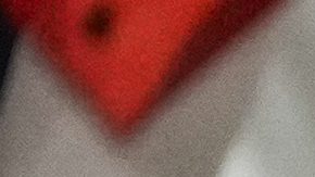 Fans New York Red Bulls.